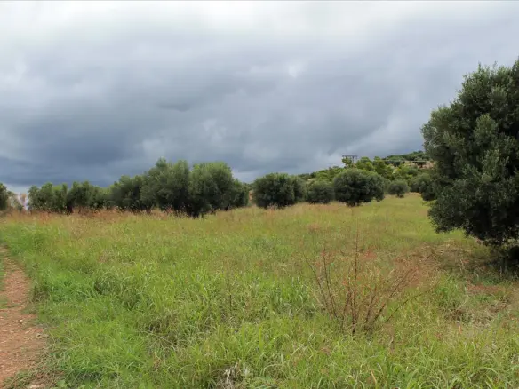 Land In Sithonia, Greece
