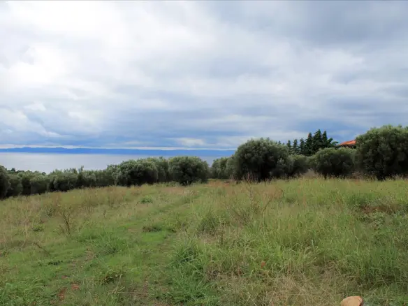 Land In Sithonia, Greece