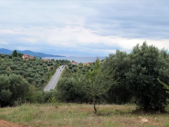 Land In Sithonia, Greece