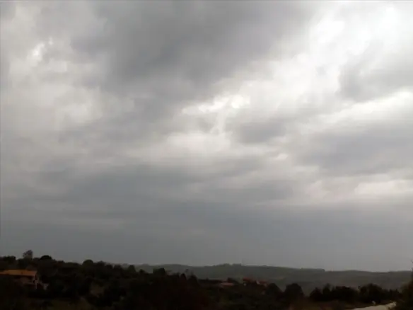 Land In Kassandra, Greece