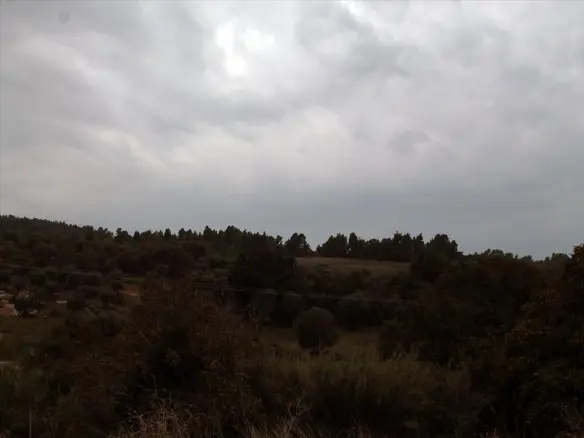 Land In Kassandra, Greece