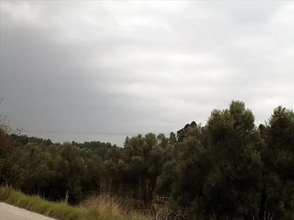 Land In Kassandra, Greece