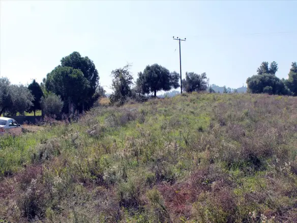 Land In Kassandra, Greece