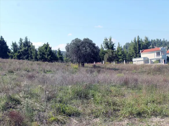 Land In Kassandra, Greece
