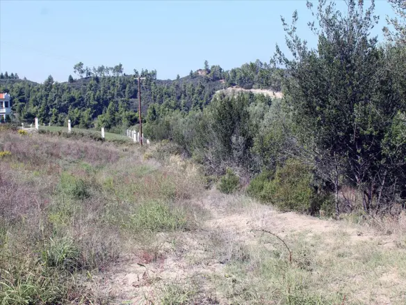 Land In Kassandra, Greece