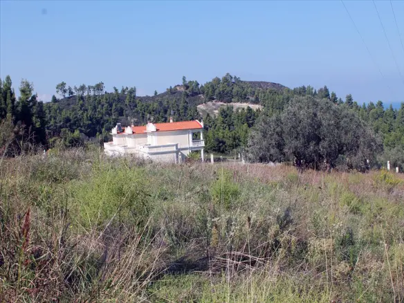Land In Kassandra, Greece