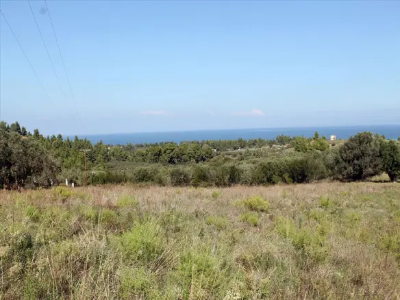 Land In Kassandra, Greece