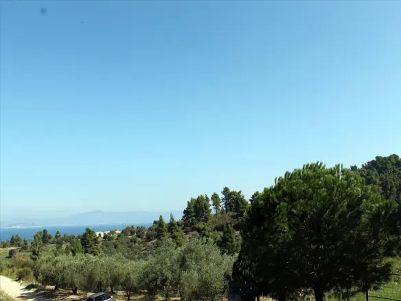 Land In Kassandra, Greece