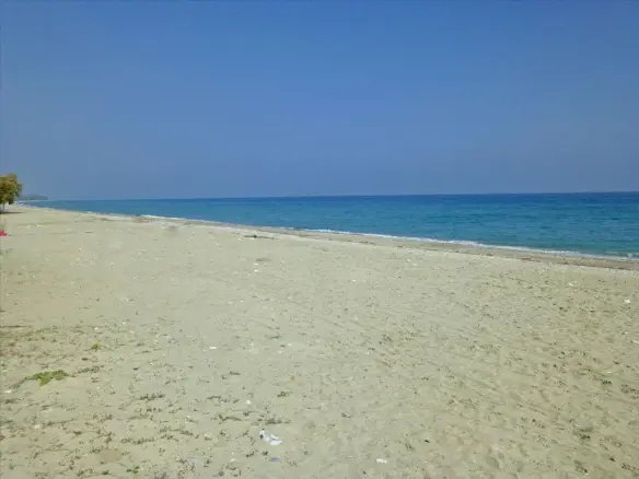 Business In Greece (260 M²)