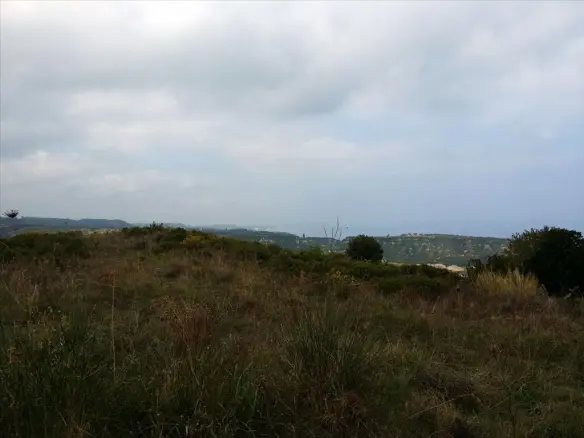 Land In Kassandra, Greece