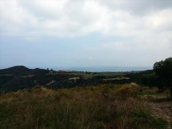 Land In Kassandra, Greece