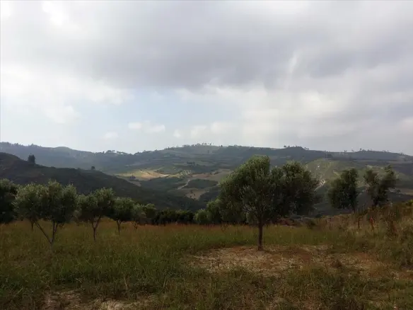 Land In Kassandra, Greece
