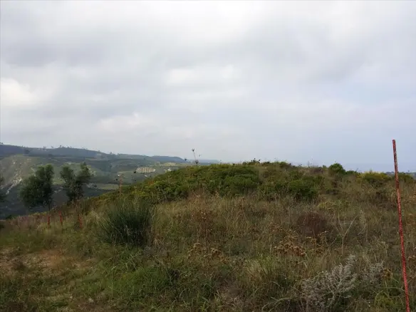 Land In Kassandra, Greece