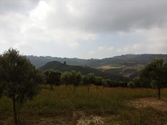Land In Kassandra, Greece
