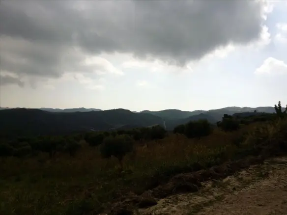 Land In Kassandra, Greece