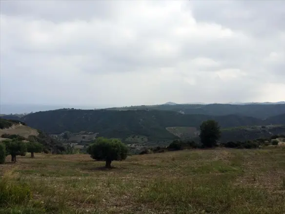 Land In Kassandra, Greece