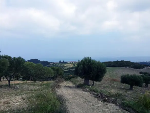 Land In Kassandra, Greece