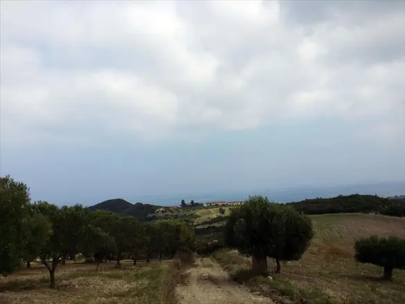Land In Kassandra, Greece