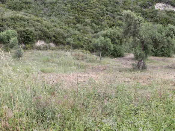 Land In Aristotle, Greece