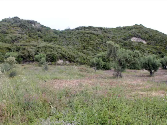 Land In Aristotle, Greece