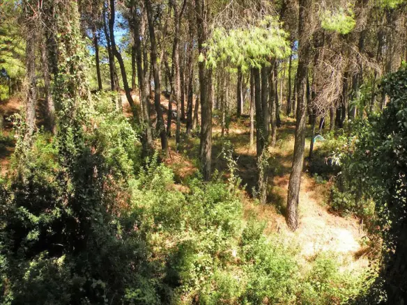 3-bedroom Detached House In Acharnes, Greece (420 M²)