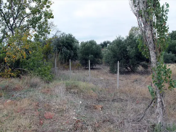 Land In Nea Propontida, Greece