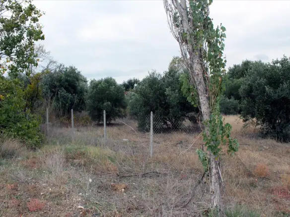 Land In Nea Propontida, Greece
