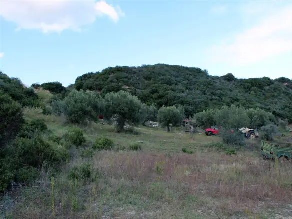 Land In Kassandra, Greece
