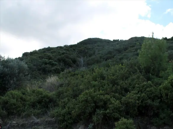 Land In Kassandra, Greece
