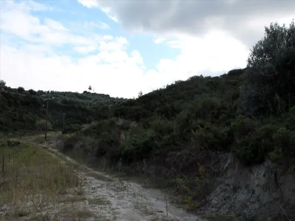 Land In Kassandra, Greece
