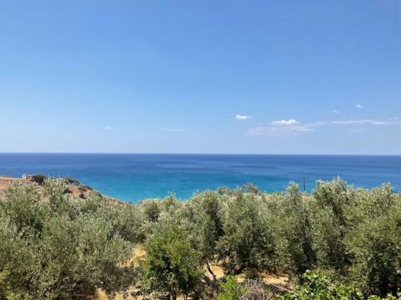 Business In Viannos, Greece (286 M²)