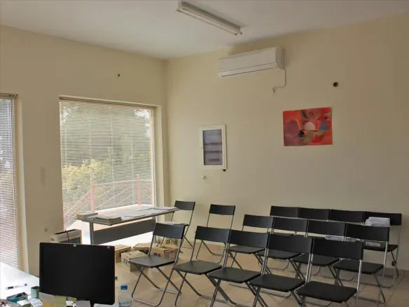 Business In Koropi, Greece (270 M²)