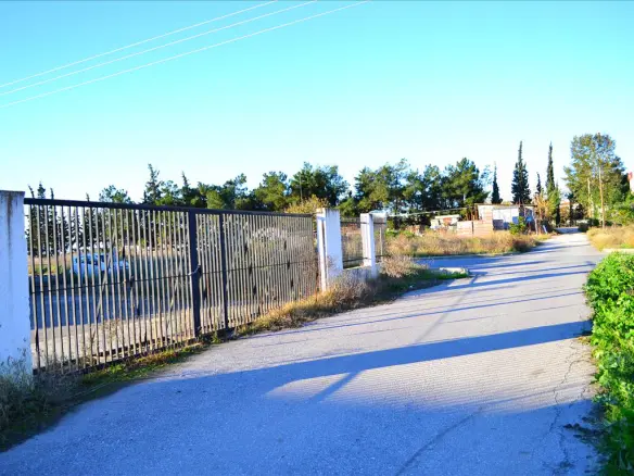 Building In Thermi, Greece (1.566 M²)