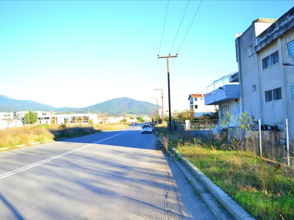 Building In Thermi, Greece (1.566 M²)
