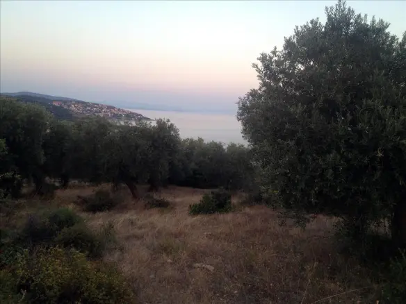 Land In Aristotle, Greece