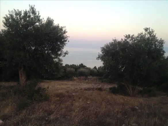 Land In Aristotle, Greece