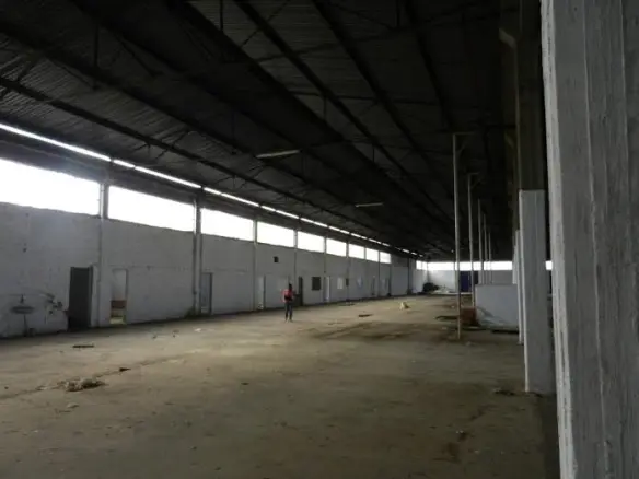 Business In Kria Vrisi, Greece (4.740 M²)