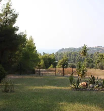 Villa In Kassandra, Greece (260 M²)