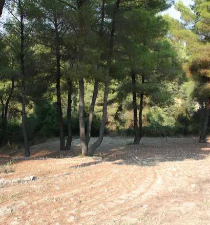Villa In Kassandra, Greece (260 M²)