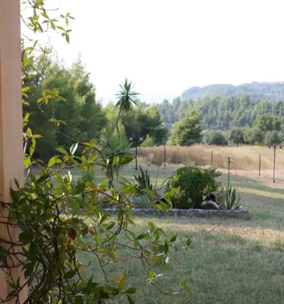 Villa In Kassandra, Greece (260 M²)