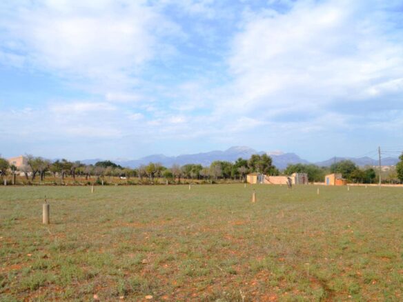 Land In Búger, Spain (230 M²)