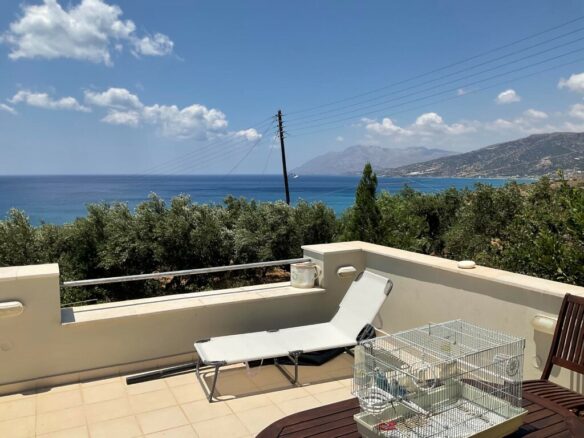 Business In Viannos, Greece (286 M²)