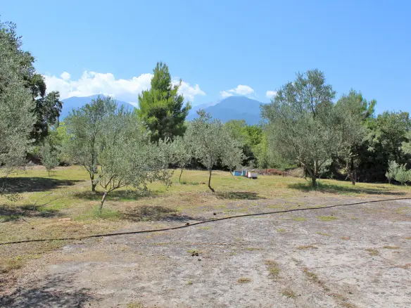 Land In Litochoro, Greece