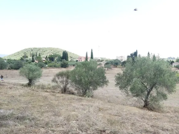 Land In Corfu, Greece