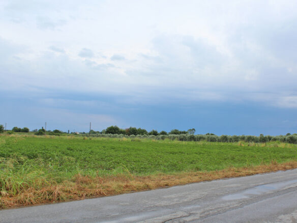Land In Paralia, Greece