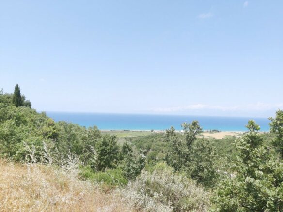 Land In Corfu, Greece