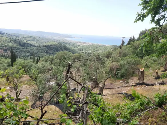 Land In Corfu, Greece