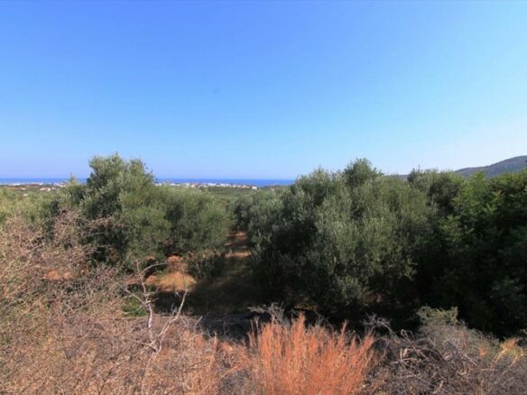 Land In Agios Nikolaos, Greece