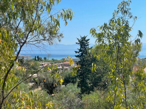 Land In Corfu, Greece