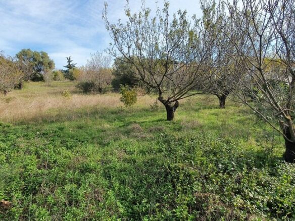 Land In Nea Propontida, Greece